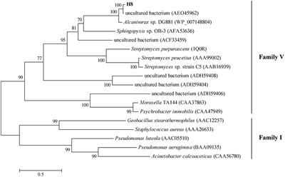 Identification and Characterization of a Novel Salt-Tolerant Esterase from the Deep-Sea Sediment of the South China Sea